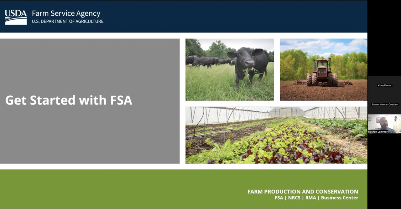Livestock Assistance Programs Webinar
