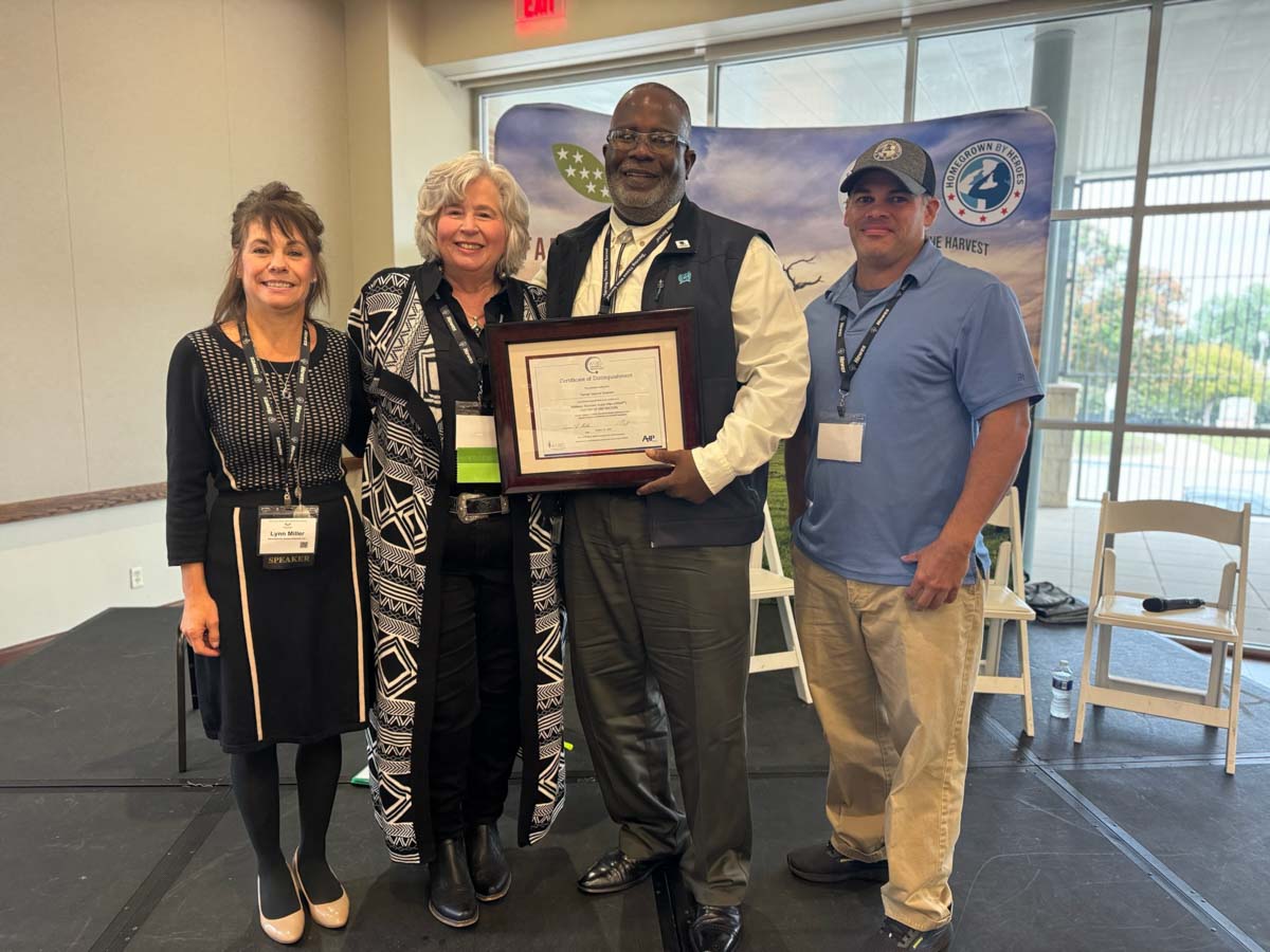 wrap certificate of distinguishment