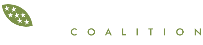 fvc logo refresh avoner white green