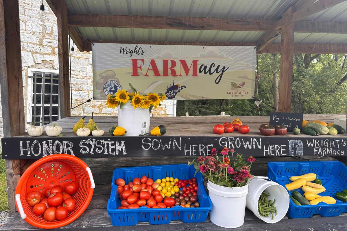 wright farmacy stand