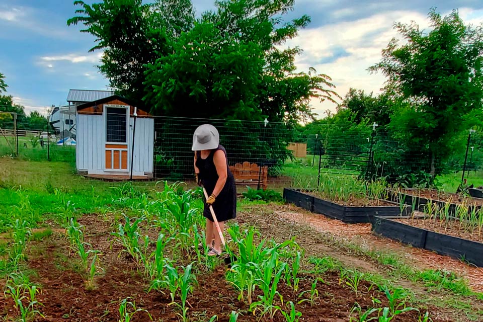 corinna warner garden