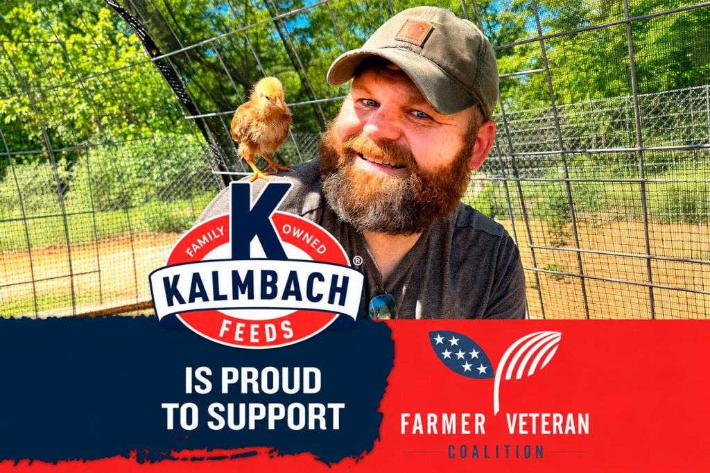 kalmbach feeds x fvc 002