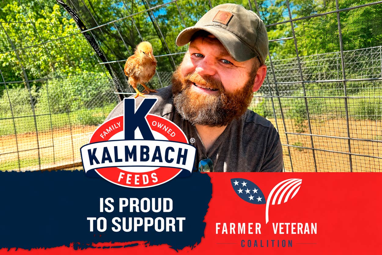kalmbach feeds x fvc 002