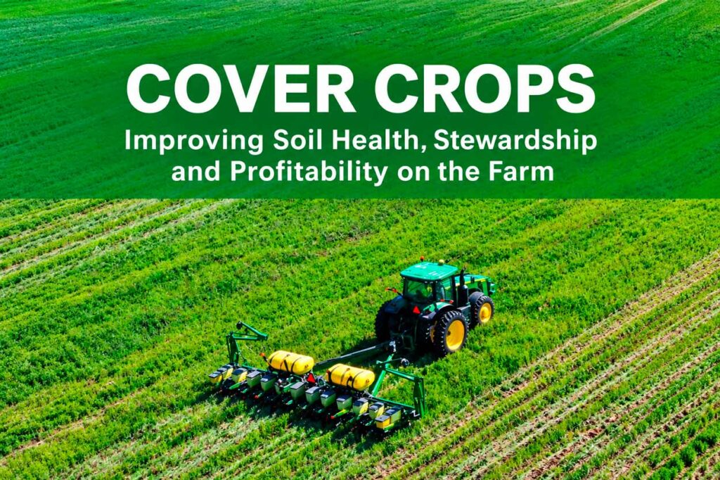 cover crops