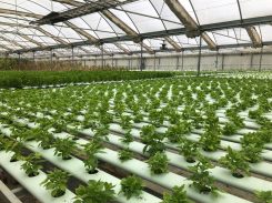 sustainable agriculture 003